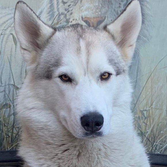 Meet your Posher, Candice - Picture 1 of 1